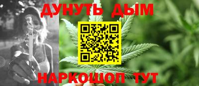 сатива Краснодар