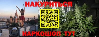 сатива Краснодар