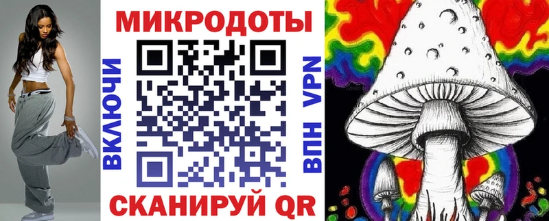 наркошоп  Дубна  Галлюциногенные грибы Psilocybine cubensis 