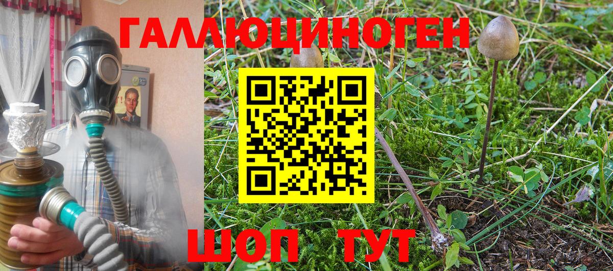 Галлюциногенные грибы мицелий  Вход с VPN  Дубна 